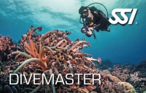 Curso Divemaster SSI