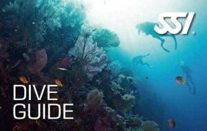 curso dive guide ssi